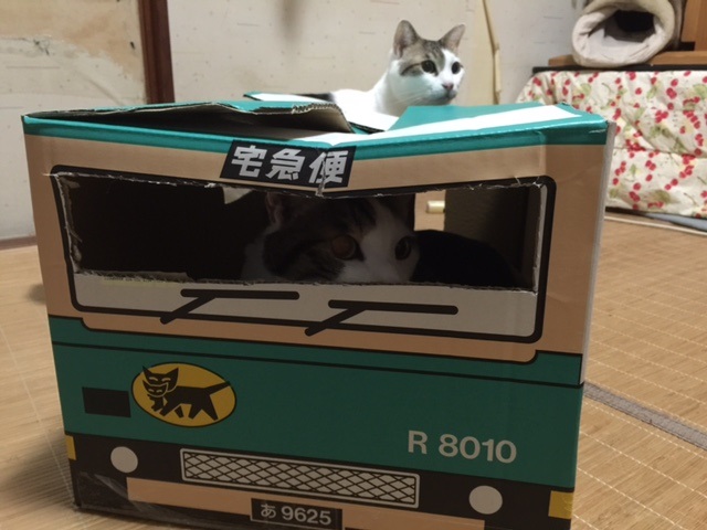 nekotruck1