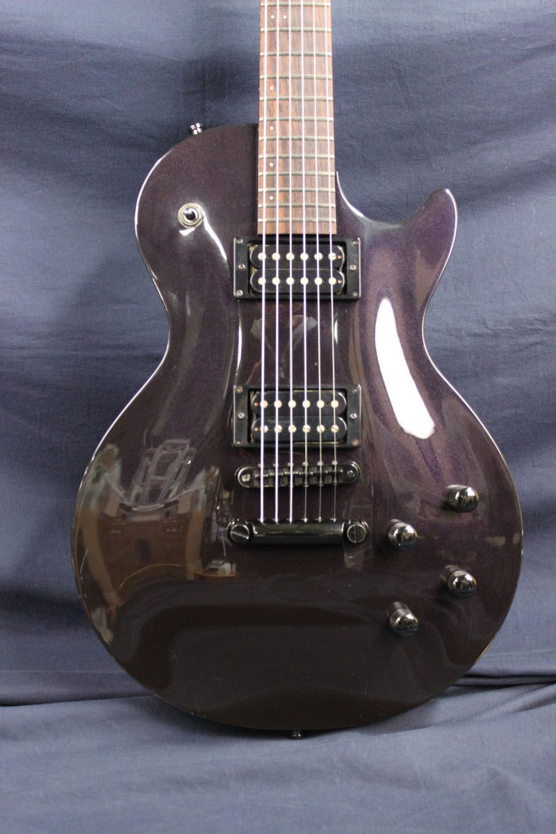 FERNANDES RE-95G 瀧川一郎 Model